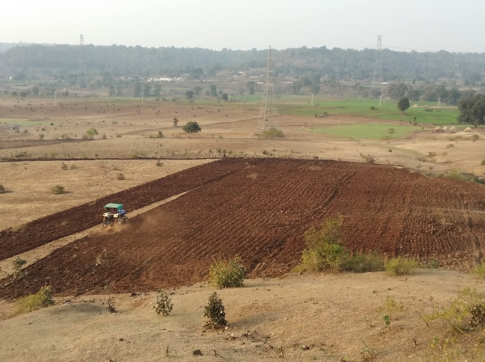 Ecosystem restoration journey at Meri Mati