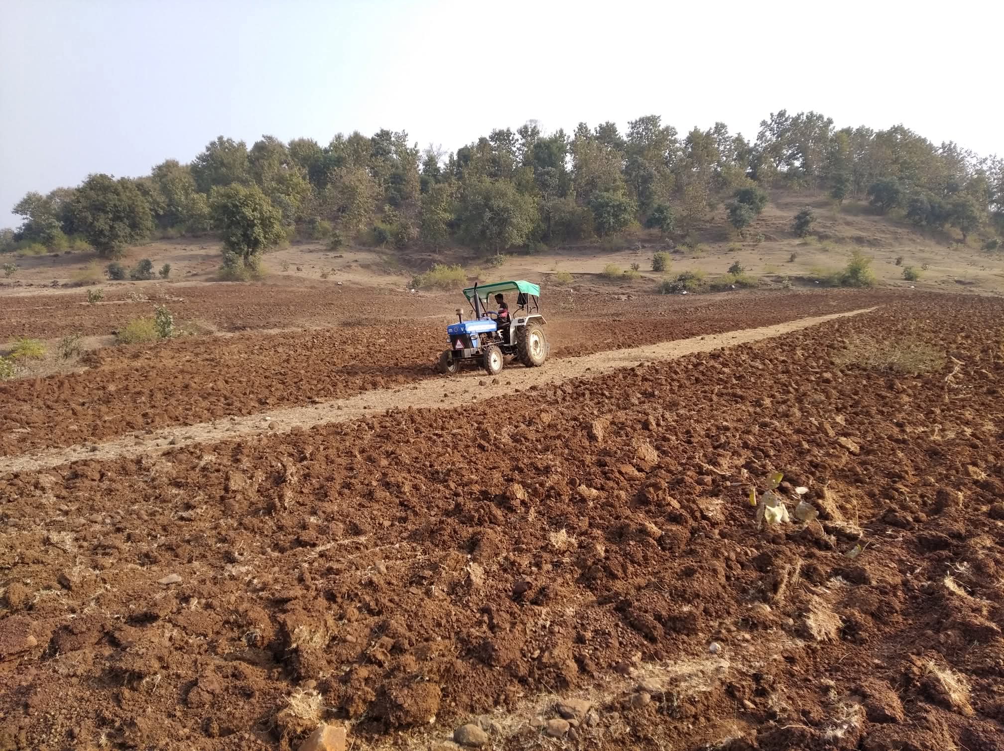Soil restoration at Meri Mati Farm
