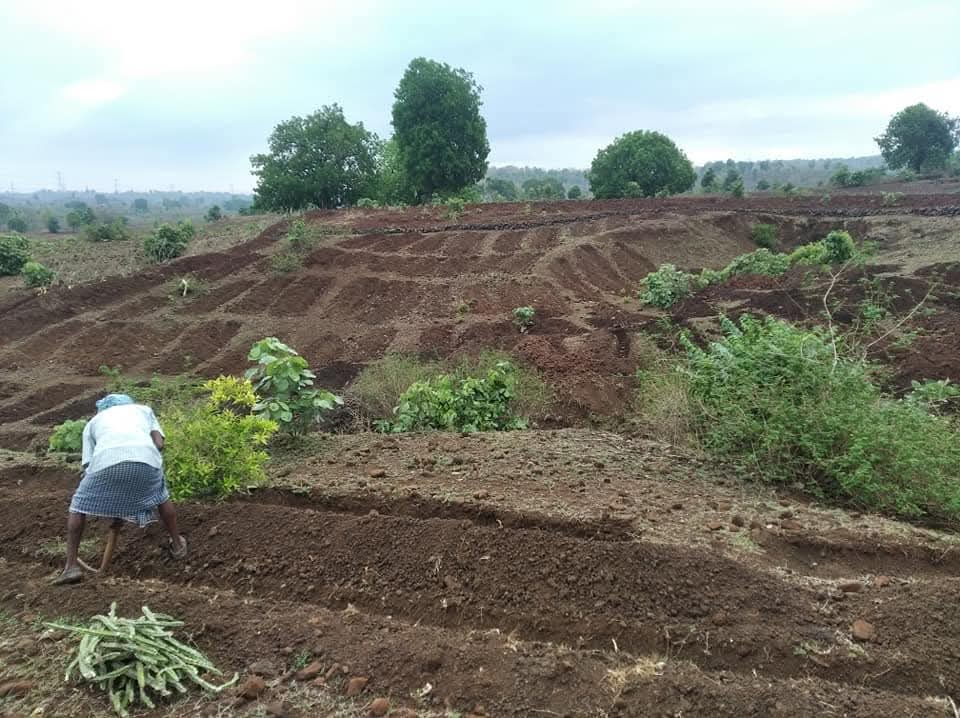 Nature conservation journey at Meri Mati Farm