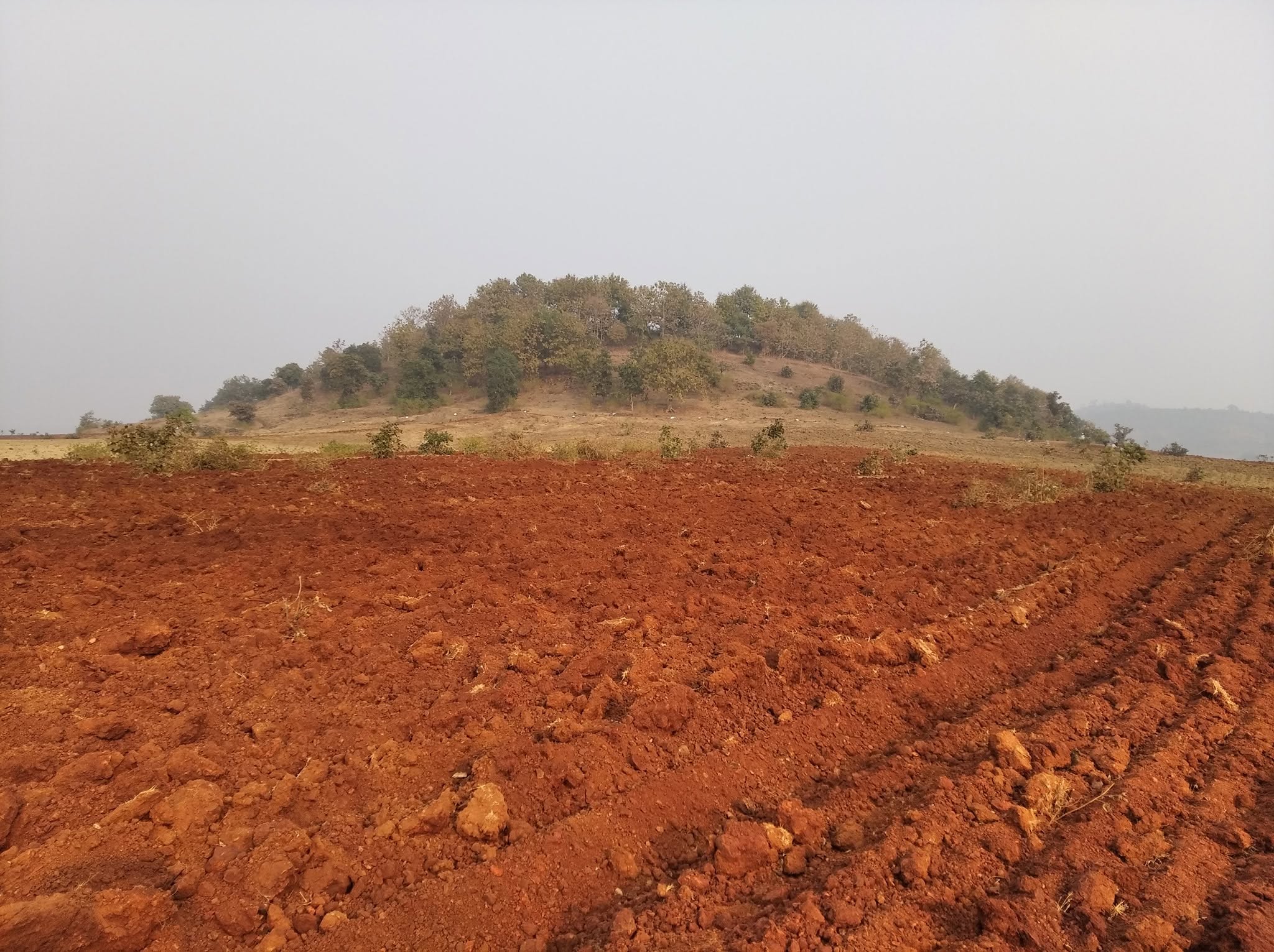 Meri Mati Farm before land restoration